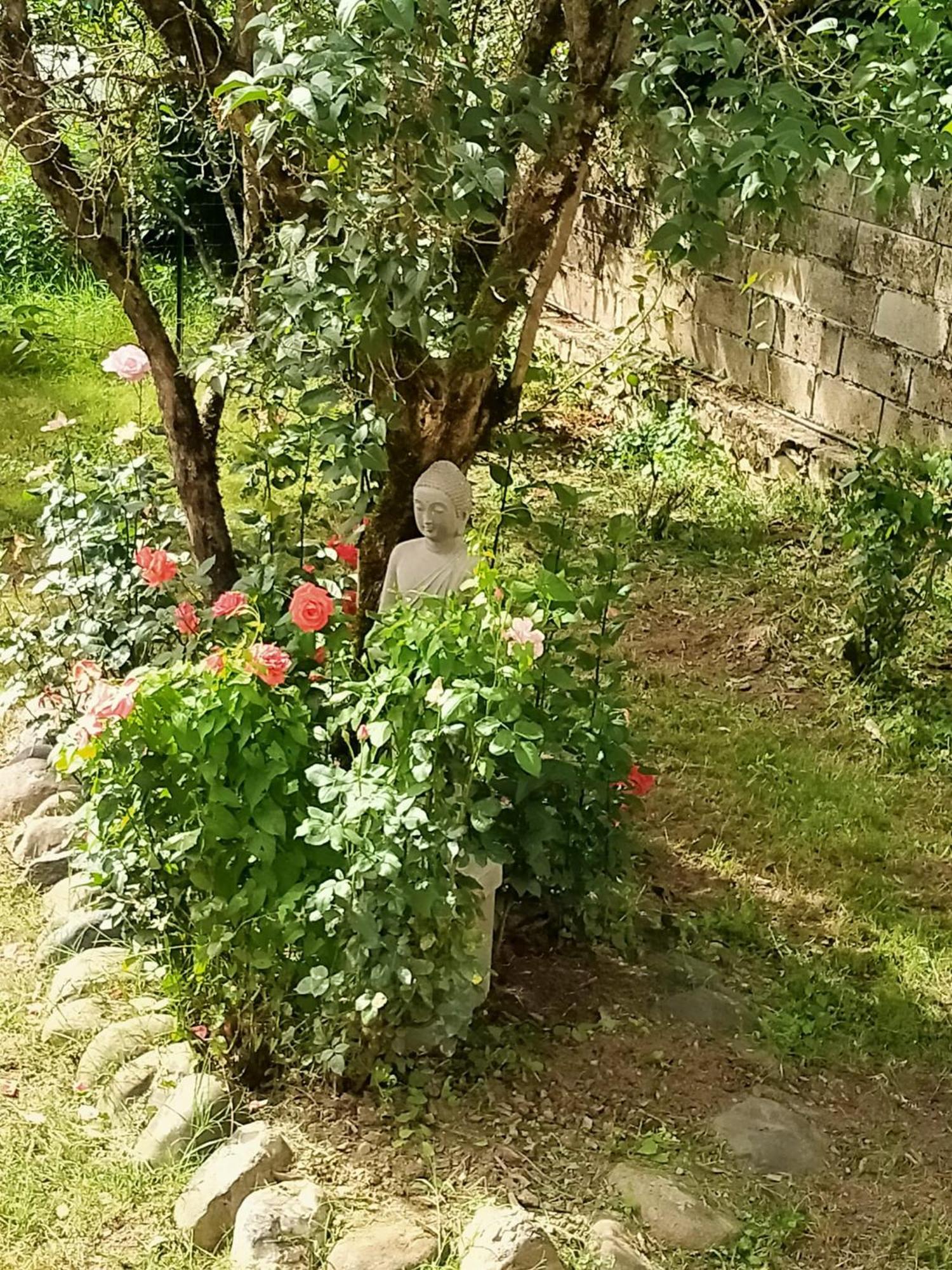 ホテル Le Relais De Boralde エスパリオン エクステリア 写真